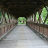 Allegany State Park